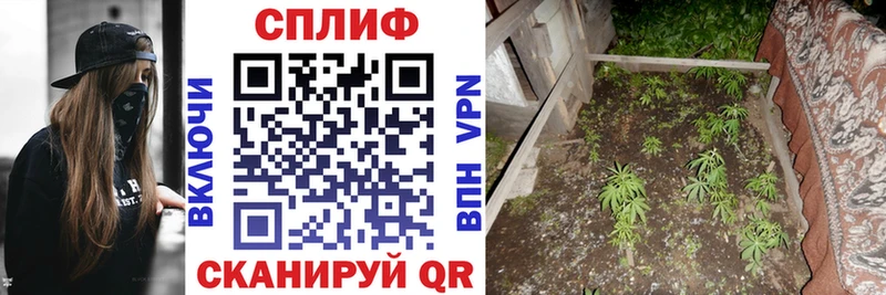 МЕФ Зубцов