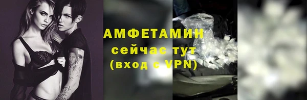 твердый Гусев