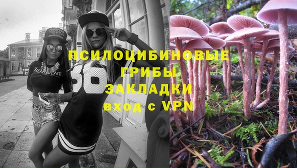гидропоника Абдулино
