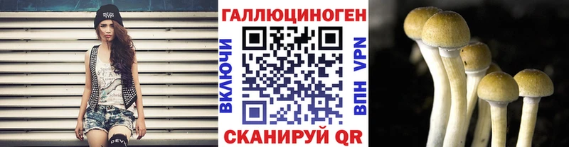 даркнет сайт  Зубцов  Галлюциногенные грибы мицелий 
