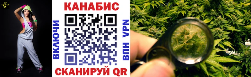 Каннабис индика  Зубцов 
